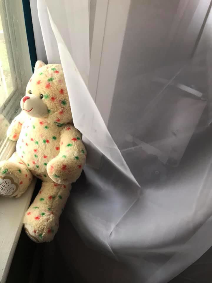 bear hunt photos (36).jpg